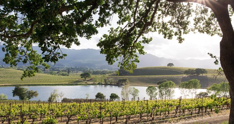 Laid-Back Luxury Trip to Northern California Wine Country