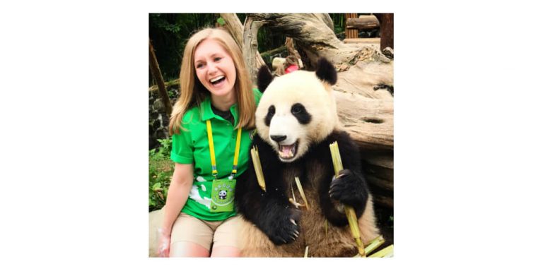 Tips On Becoming A Better Panda Volunteer